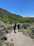 pic_60777.jpg