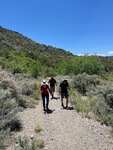 pic_60778.jpg