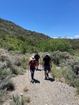 pic_60779.jpg