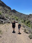 pic_60781.jpg