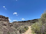 pic_60789.jpg