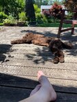 pic_60799.jpg
