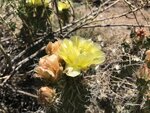 pic_60821.jpg
