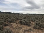 pic_60842.jpg