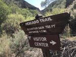 pic_60848.jpg