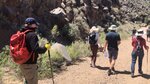 pic_60849.jpg