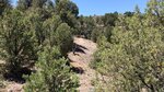 pic_60852.jpg