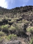 pic_60853.jpg