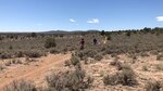 pic_60859.jpg