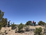 pic_60866.jpg