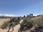 pic_60870.jpg