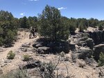 pic_60881.jpg