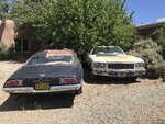 pic_60883.jpg