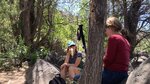 pic_60884.jpg