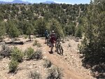 pic_60893.jpg