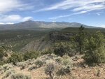pic_60899.jpg