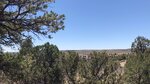 pic_60903.jpg