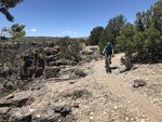 pic_60904.jpg