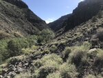 pic_60916.jpg