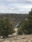 pic_60925.jpg