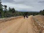pic_60406.jpg