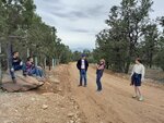 pic_60408.jpg