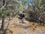 pic_60420.jpg