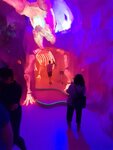 pic_60495.jpg