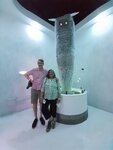pic_60505.jpg
