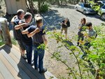 pic_60543.jpg