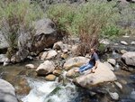 pic_60548.jpg