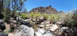 pic_60551.jpg