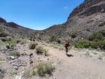 pic_60554.jpg
