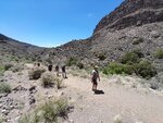 pic_60555.jpg
