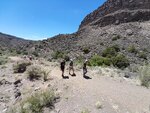 pic_60556.jpg