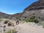 pic_60557.jpg