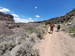 pic_60563.jpg