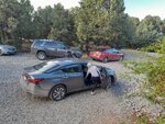 pic_60587.jpg
