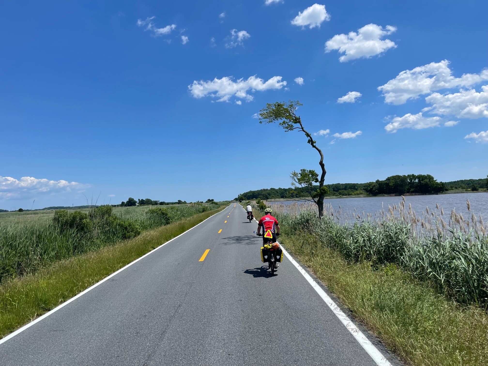 Blog 2022 Delmarva