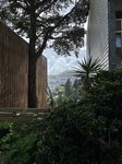 pic_62785.jpg