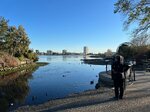 pic_62788.jpg