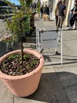 pic_62794.jpg