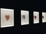 pic_62803.jpg