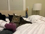pic_62859.jpg