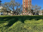 pic_62865.jpg