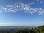 pic_63020.jpg