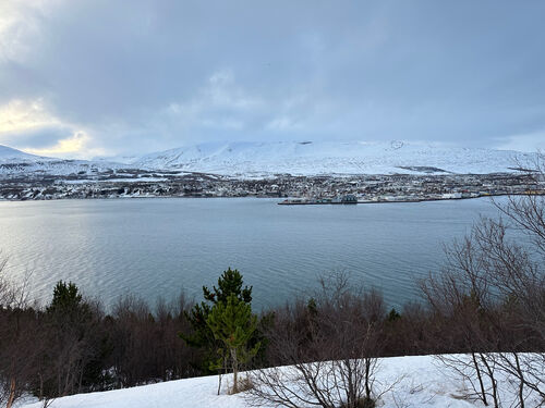 Blog 2023 Iceland