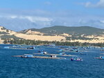 pic_099013.jpg