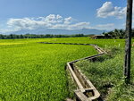 pic_099086.jpg