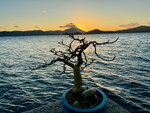 pic_099092.jpg